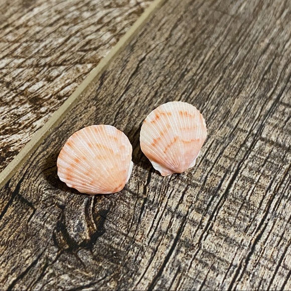 Authentic Real Seashells Earrings Jewelry Pensacola Florida Beach Sea Shells - Picture 2 of 5